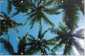 Palmbomen | Natuur | Tuindoek | Tuindecoratie | 120CM x 80CM | Tuinposter