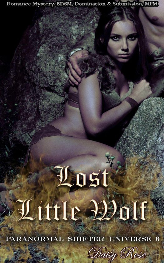 Paranormal Shifter Universe 6 - Lost Little Wolf - cover