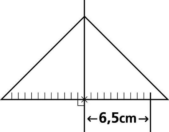 Linex 2632 Geo-driehoek van kunststof, met handgreep, 30 cm, gradenboog, afneembare handgreep, facet, inktnoppen, metrische schaal
