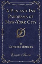 A Pen-And-Ink Panorama of New-York City (Classic Reprint)