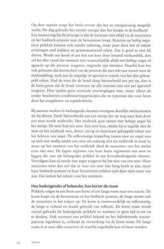 Het gelaagde brein