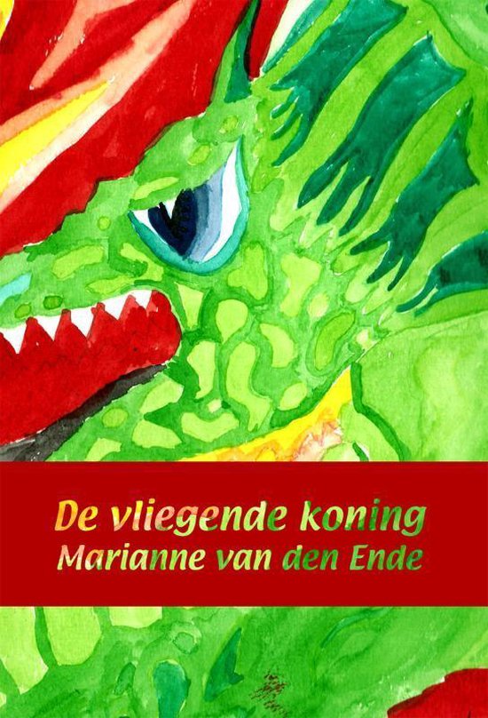 Cover van het boek 'De vliegende koning' van Marianne van den Ende