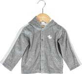 Ducky Beau - Winter 15/16 - Vest - CRNJK31 - Grey Melange - 56