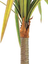 Europalms kunstplant - Dracena - rood-groen - 170cm