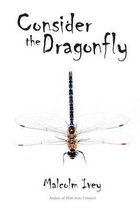 Consider the Dragonfly