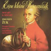 Eine kleine Hornmusik