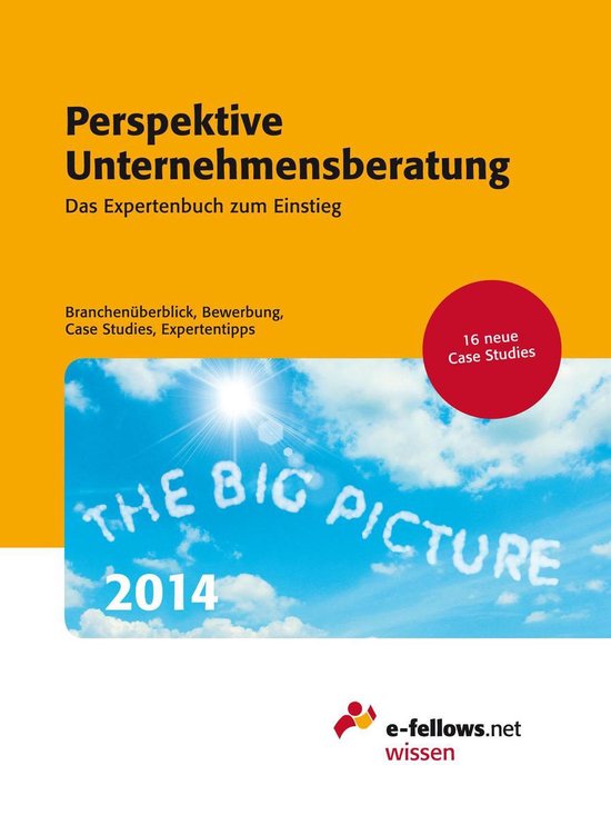 Perspektive Unternehmensberatung 2014 - cover