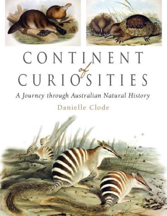 Continent Of Curiosities - cover
