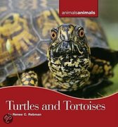 Turtles and Tortoises