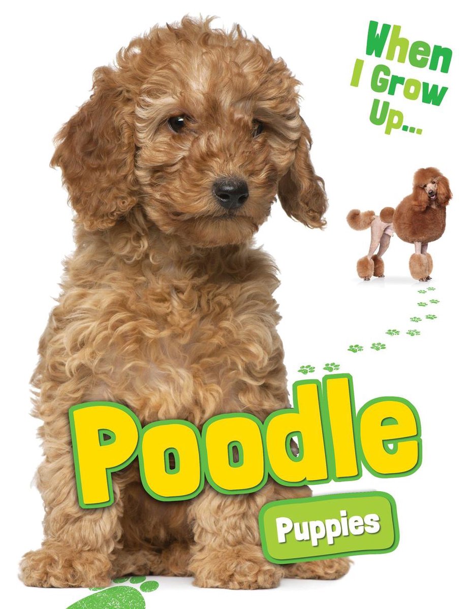 When I Grow Up... - Poodle Puppies - Emmie Chang
