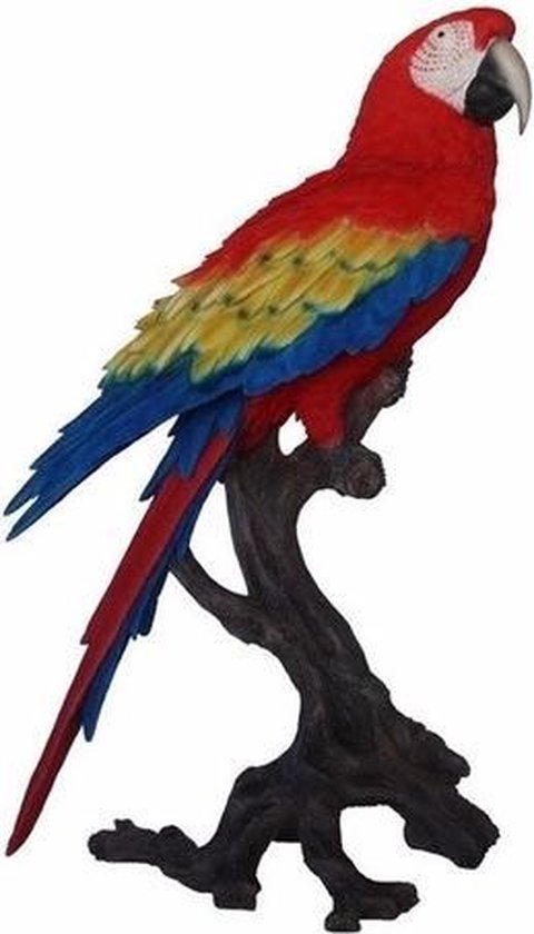 Bijwerken vezel leven Luxe tropische vogel beeld papegaai 70 cm | bol.com