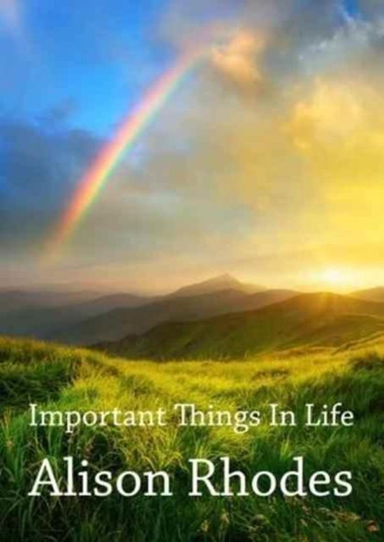 Important Things in Life, Alison Rhodes | 9781911229018 | Boeken | bol.com