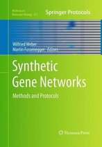 Synthetic Gene Networks