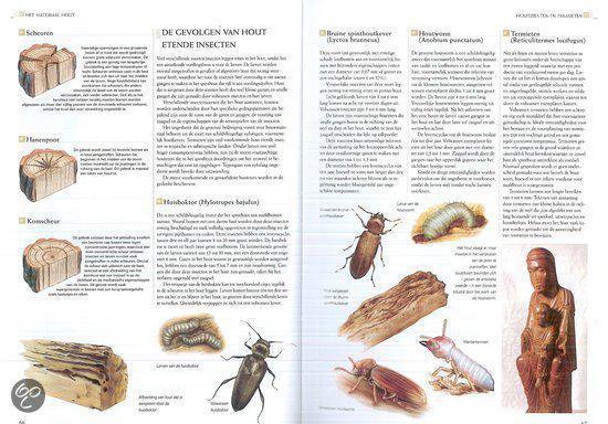 Handboek hout en houtbewerking