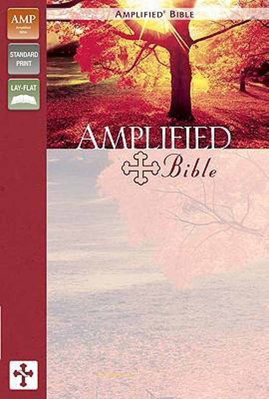 Amplified Bible, Imitation Leather, Pink/Purple, Zondervan Publishing