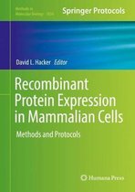 Recombinant Protein Expression in Mammalian Cells
