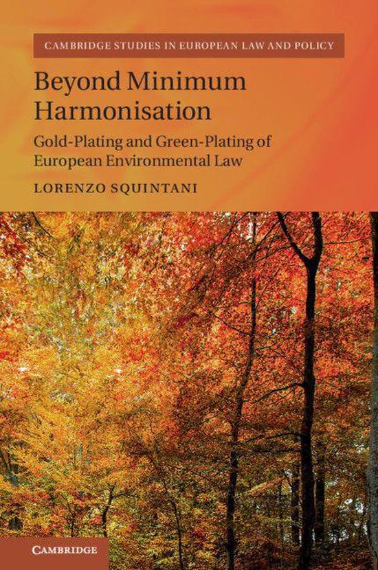 Cambridge Studies in European Law and Policy - Beyond Minimu ... - cover