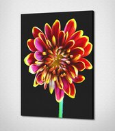 Multicolored Flower Canvas - 40 x 30 cm - Bloemen - Schilderij - Canvas - Slaapkamer - Wanddecoratie  - Slaapkamer - Foto op canvas