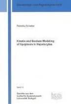 Kinetic and Boolean Modeling of Apoptosis in Hepatocytes
