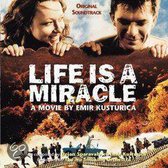 Life Is A Miracle