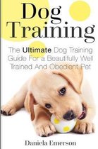 Dog Training