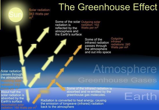 1 First 1 - How to save Energy. Money and the Environment - cover