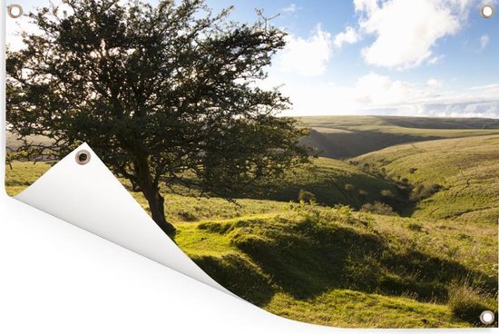 Arbre d'aubépine solitaire dans le parc national d'Exmoor en Angleterre Poster de jardin 180x120 cm - Toile de jardin / Peintures extérieur / Peintures d'extérieur (décoration de jardin) XXL / Groot format!