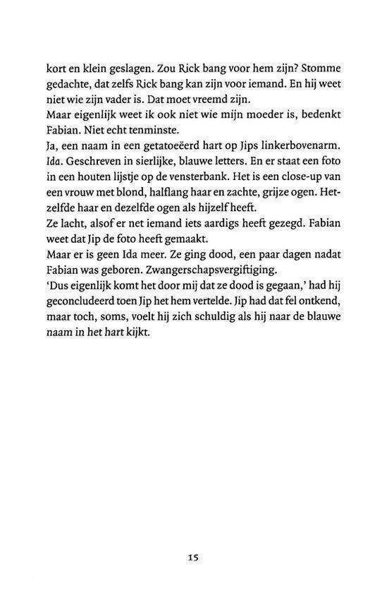 Een pagina uit een boek met Nederlandse tekst.