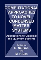 Computational Approaches to Novel Condensed Matter Systems
