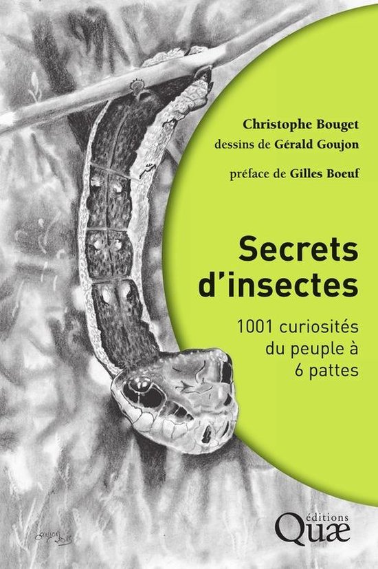 Secrets d'insectes - cover