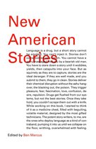 Omslag New American Stories