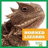 Reptile World- Horned Lizards