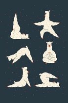 Yoga Llama