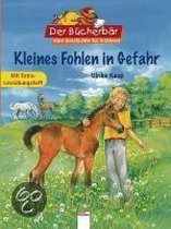 Kleines Fohlen In Gefahr