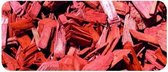 Copeaux de bois / copeaux déco Rouge 20-40mm - Couvre-sol coloré - Sac 35 ltr