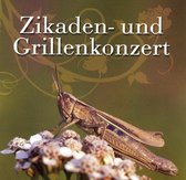 Zikaden Und Grillen Konzert