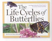 The Life Cycles of Butterflies