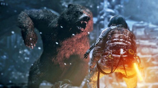 Rise Of The Tomb Raider: 20 Year Celebration - PS4 - Square Enix