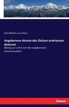 Angeborene Atresie des Ostium arteriosum dextrum