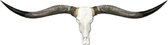 Longhoorn - Wanddecoratie - Muurdecoratie - Skull - Dierenschedel - Longhorn - Western - Landelijk - 170 cm