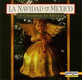 Navidad en Mexico: A Christmas in Mexico