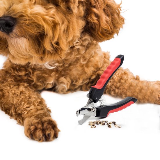 Nagelschaar - Nagelschaartje - Nagelknipper - Geschikt voor Hond Kat Konijn Cavia Vogel - 12 CM - Merkloos