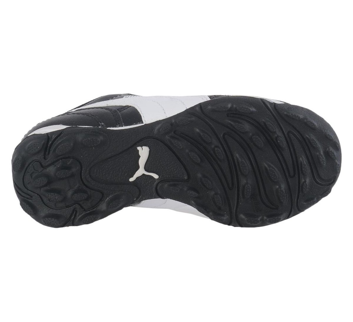 puma esito tt