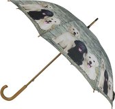 Mars & More - Paraplu - Teak Labrador Pups - 105cm