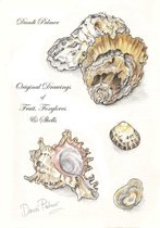 Sketchbook Drawings - Original Drawings of Fruit, Foxgloves and Shells