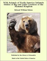 Wild Animals of North America: Intimate Studies of Big and Little Creatures of the Mammal Kingdom