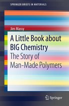SpringerBriefs in Materials - A Little Book about BIG Chemistry