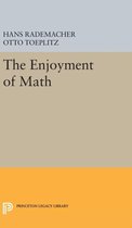 The Enjoyment of Math