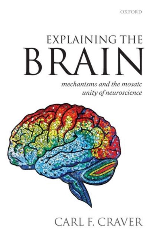 Explaining The Brain