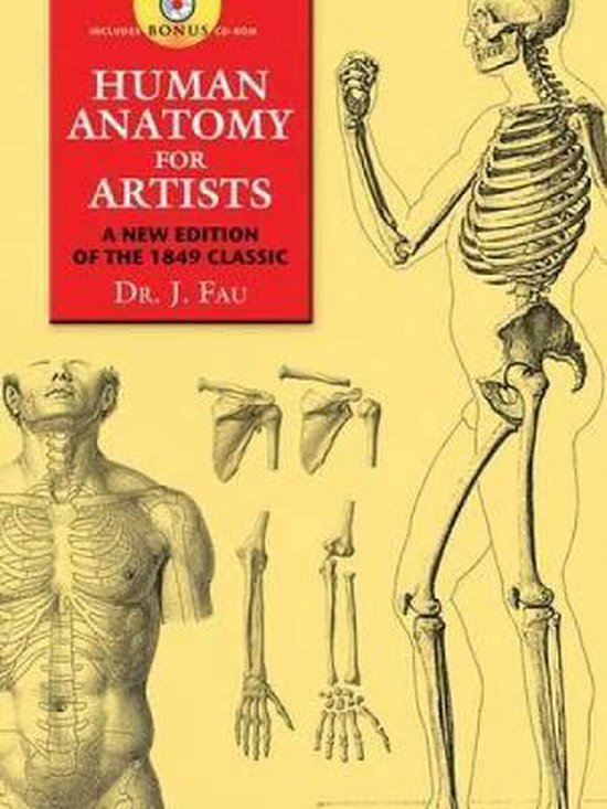 Human Anatomy for Artists